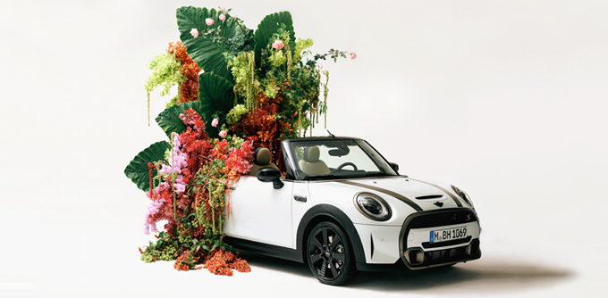 MINI Insider Campaign